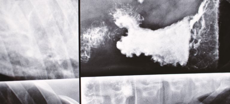 田町が育む多様なライフスタイルを支える現代医療の最前線と地域の健康環境 田町が育む多様なライフスタイルを支える現代医療の最前線と地域の健康環境